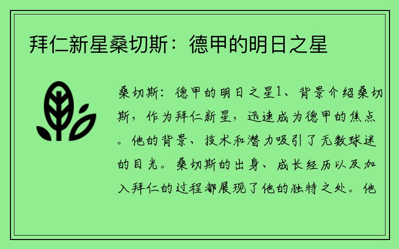 拜仁新星桑切斯：德甲的明日之星