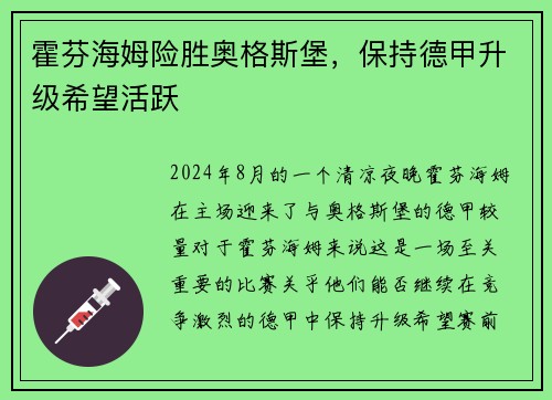 霍芬海姆险胜奥格斯堡，保持德甲升级希望活跃